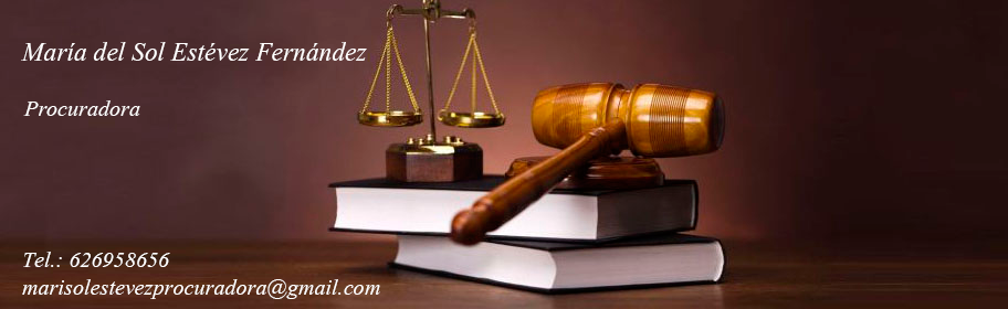 Maria del Sol Estevez Fernandez Procuradora
